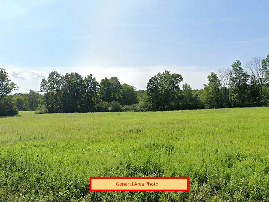 Wooded flat lot in beautiful Hickory Hills in the Pocono Mountains - Image 0