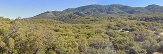 Over an acre just off the stunning Pines to Palms Hwy in CA