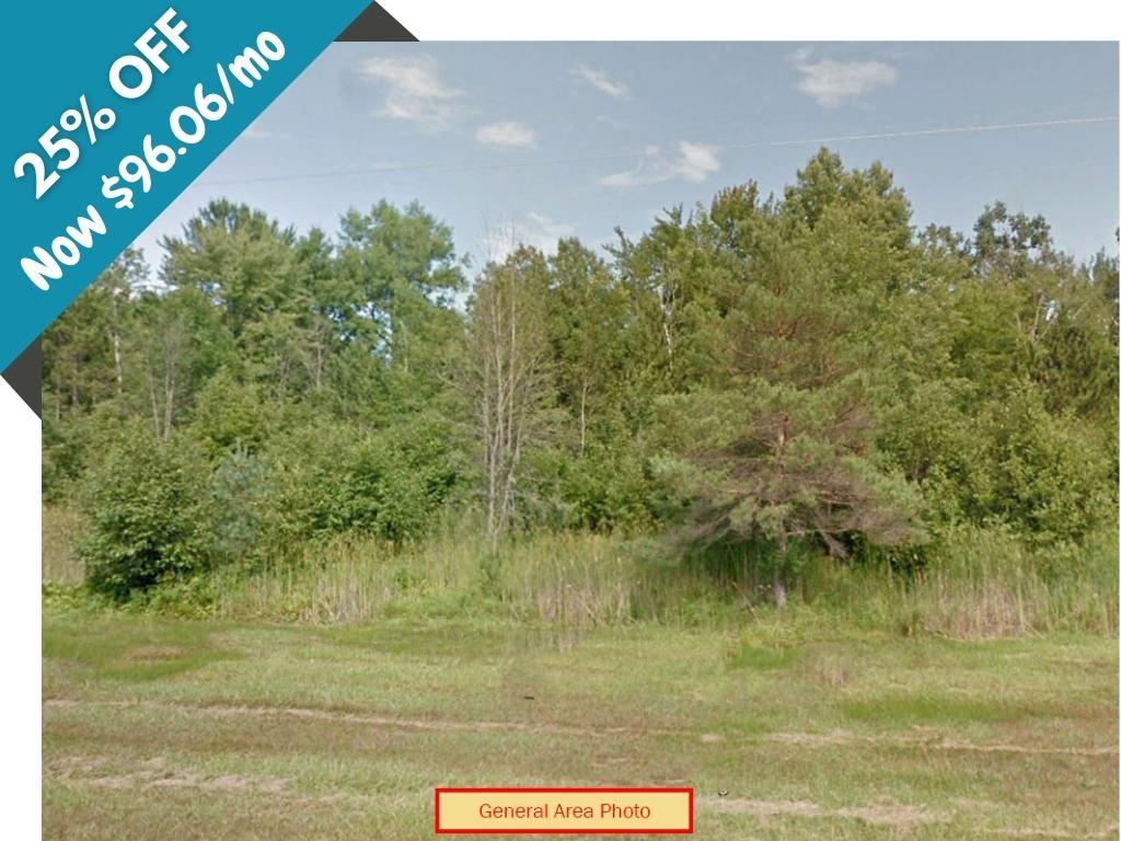 Beautifully wooded lot just outside of the lovely Beaverton, Michigan - Image 0