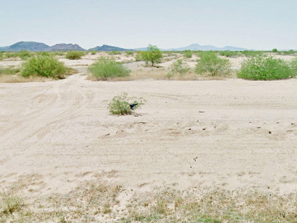 8000 square foot property in beautiful Arizona City - Image 0
