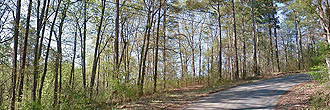 Acreage Close to Main Highway in North East Alabama