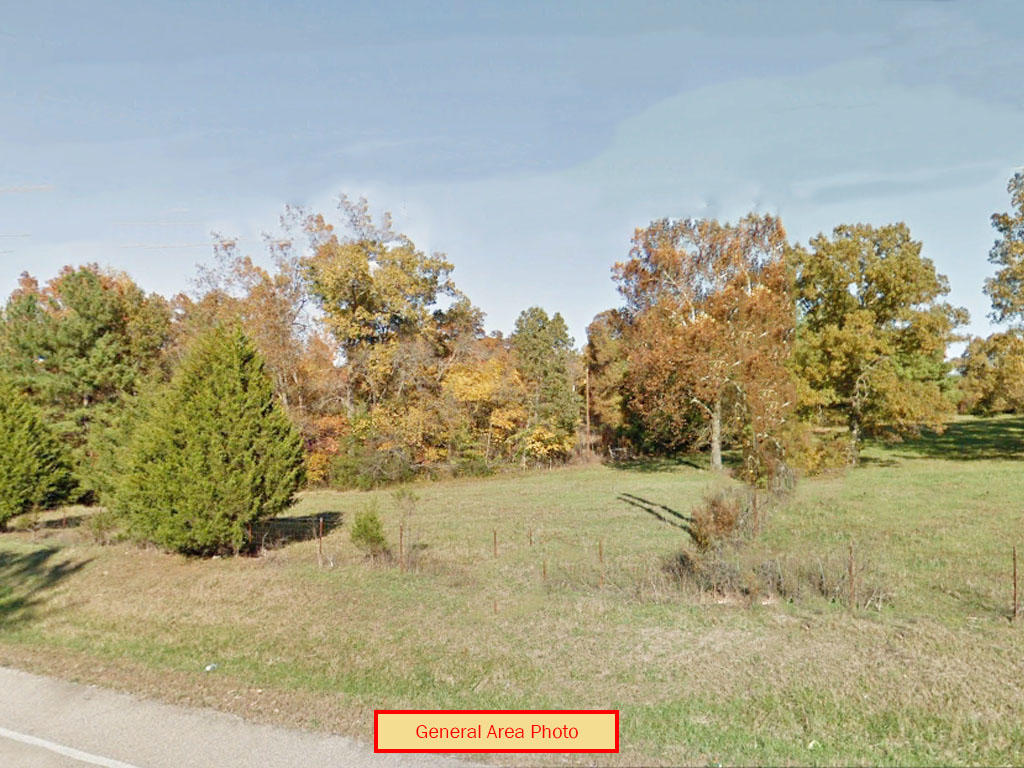A Third of an Acre Treed Lot in Horseshoe Bend - Image 0