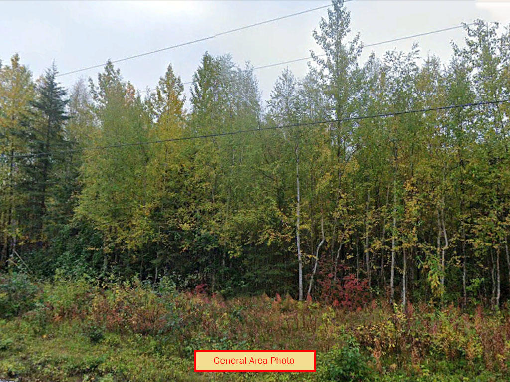 Nearly 5 Acres of Off Grid Living in Rural Alaska LandCentral