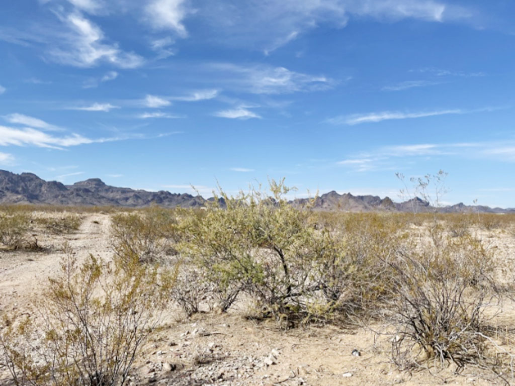 Escape to Sunny Private Acreage in Northeast Arizona LandCentral