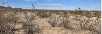 Escape to Sunny Private Acreage in Northeast Arizona