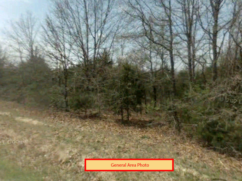 Almost 3 acres on a beautiful peninsula in the ozarks - Image 3