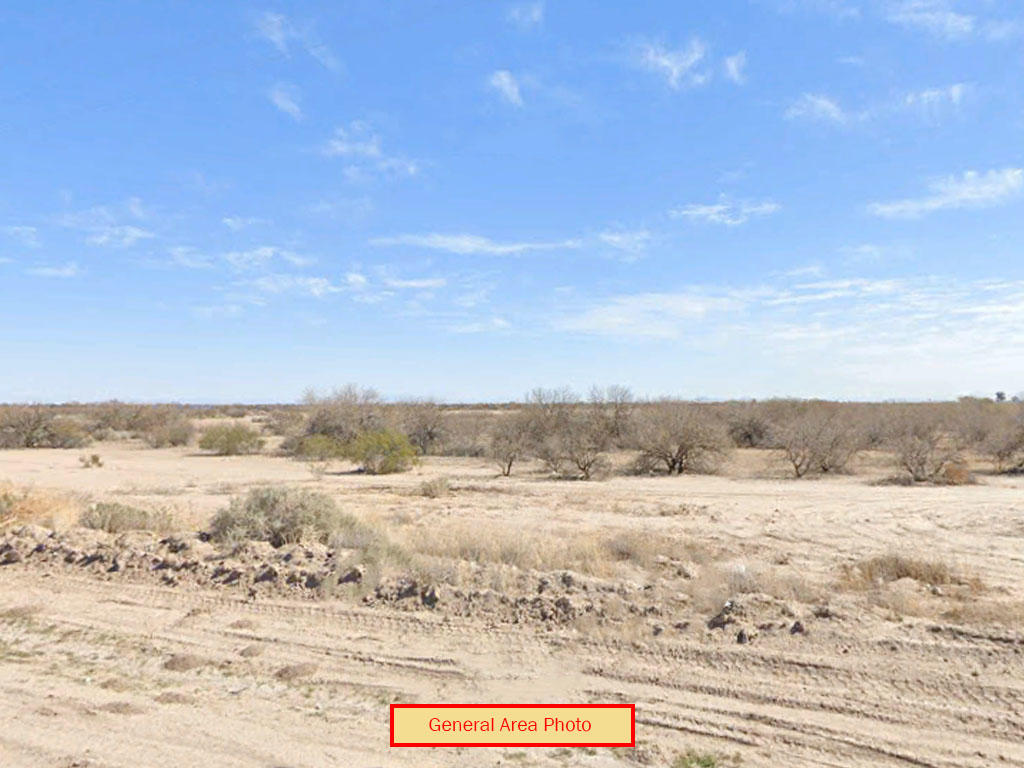 Prepare yourself for breath-taking views in the Arizona desert - Image 3