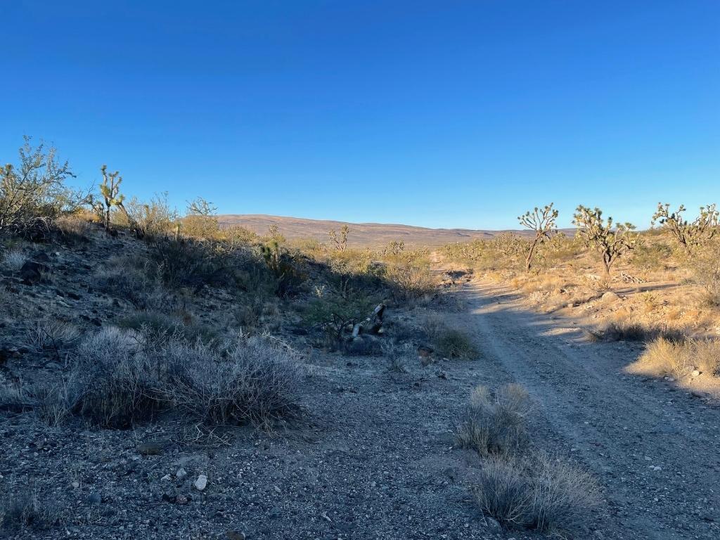 Over an acre in beautiful Arizona only 90 minutes from Las Vegas - Image 6