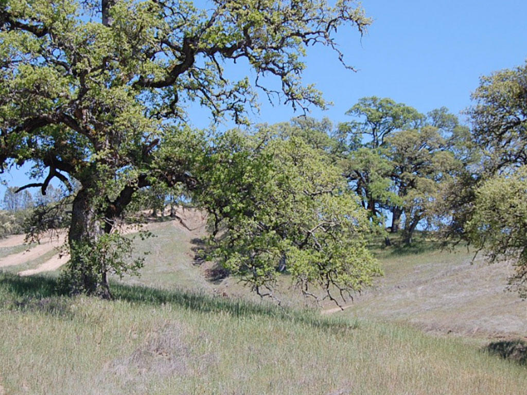 Beautiful Lucerne, CA has a property waiting just for you - Image 0
