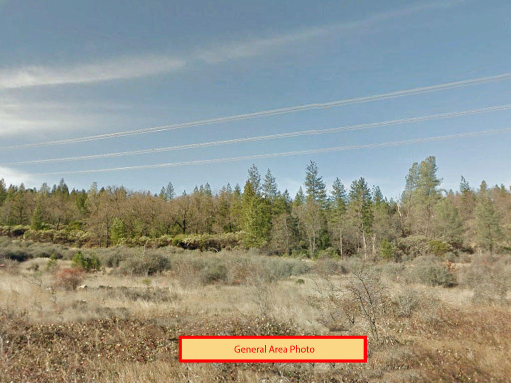 Almost an acre and a half of beauty in Shasta County - Image 3