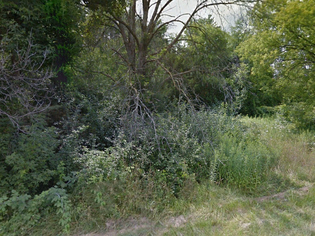 Large lot in a beautiful, quiet area of Saginaw - Image 3
