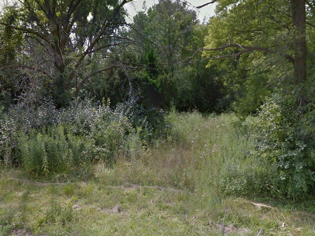 Large lot in a beautiful, quiet area of Saginaw - Image 0