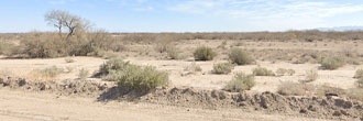 Large Lot in Beautiful Desert Community
