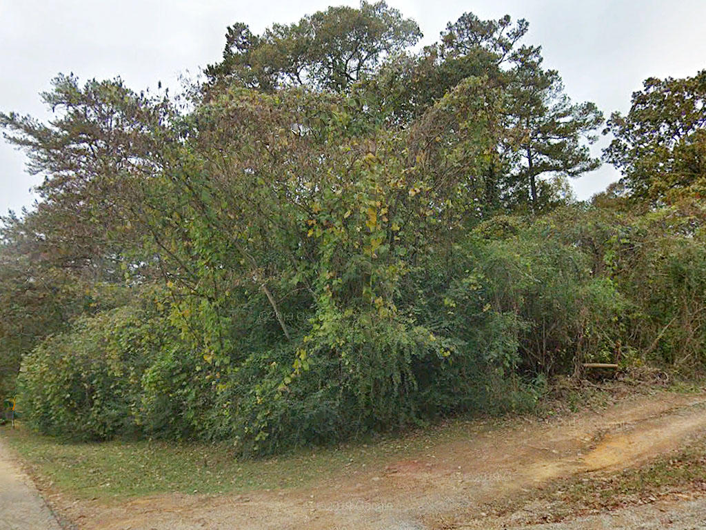 A prime piece of property located an hour from Birmingham Alabama - Image 0