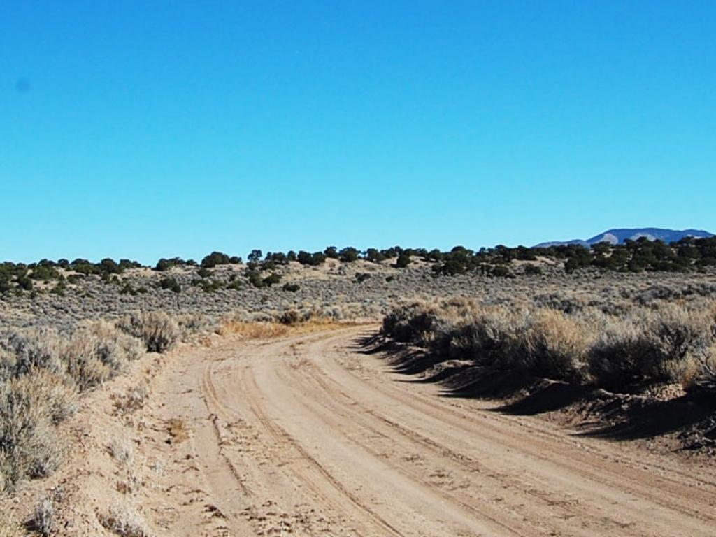 Nearly 5 acres in the Sangre De Cristo Ranches - Image 4
