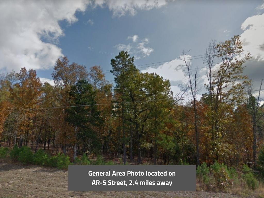 Good sized property, very secluded, and close to the lake. - Image 3