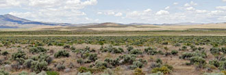 Enjoy the wide open space in Humboldt County, Nevada