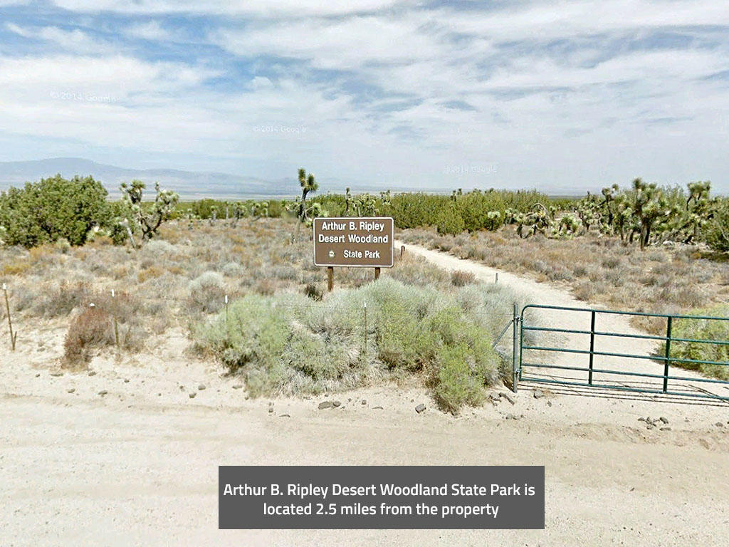 Almost two acres in the Antelope Valley part of the Mojave Desert. - Image 5
