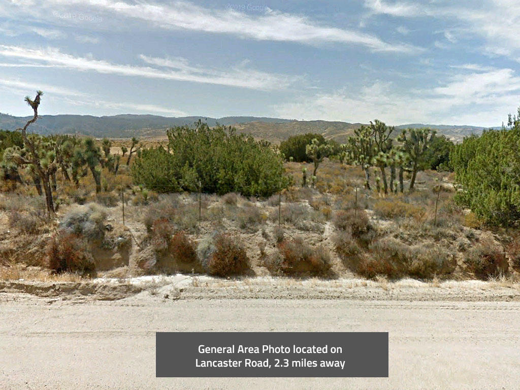 Almost two acres in the Antelope Valley part of the Mojave Desert. - Image 0