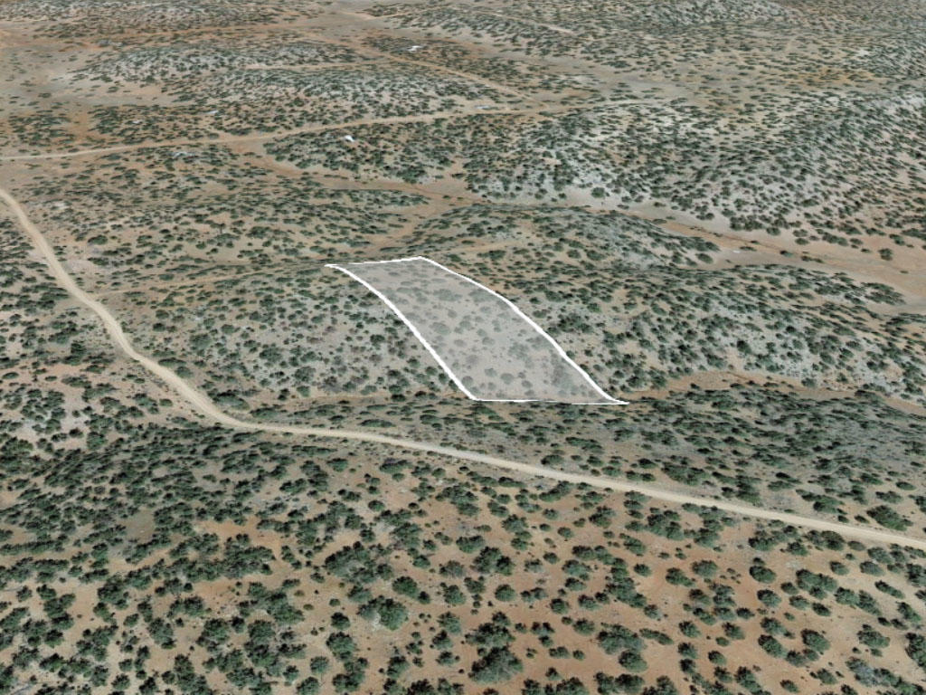 More than 2.5 acres in a perfect desert paradise - Image 2
