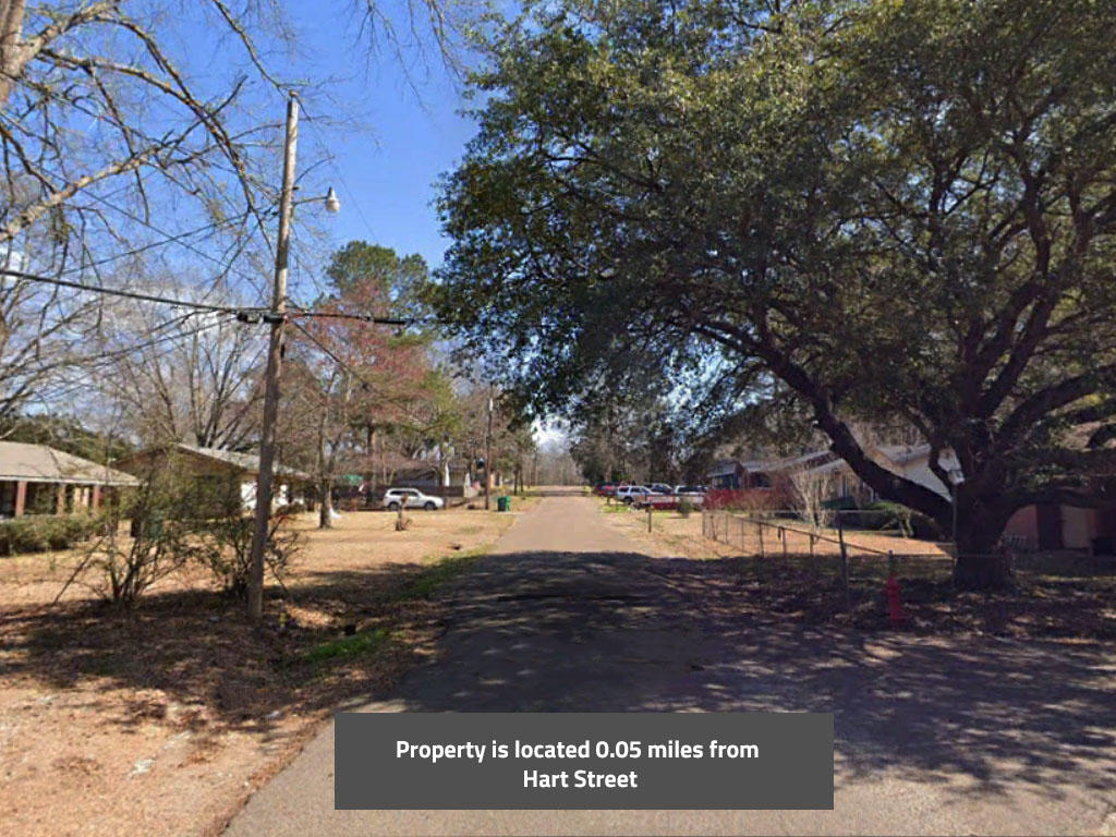 Large lot in a beautifully maintained neighborhood - Image 4
