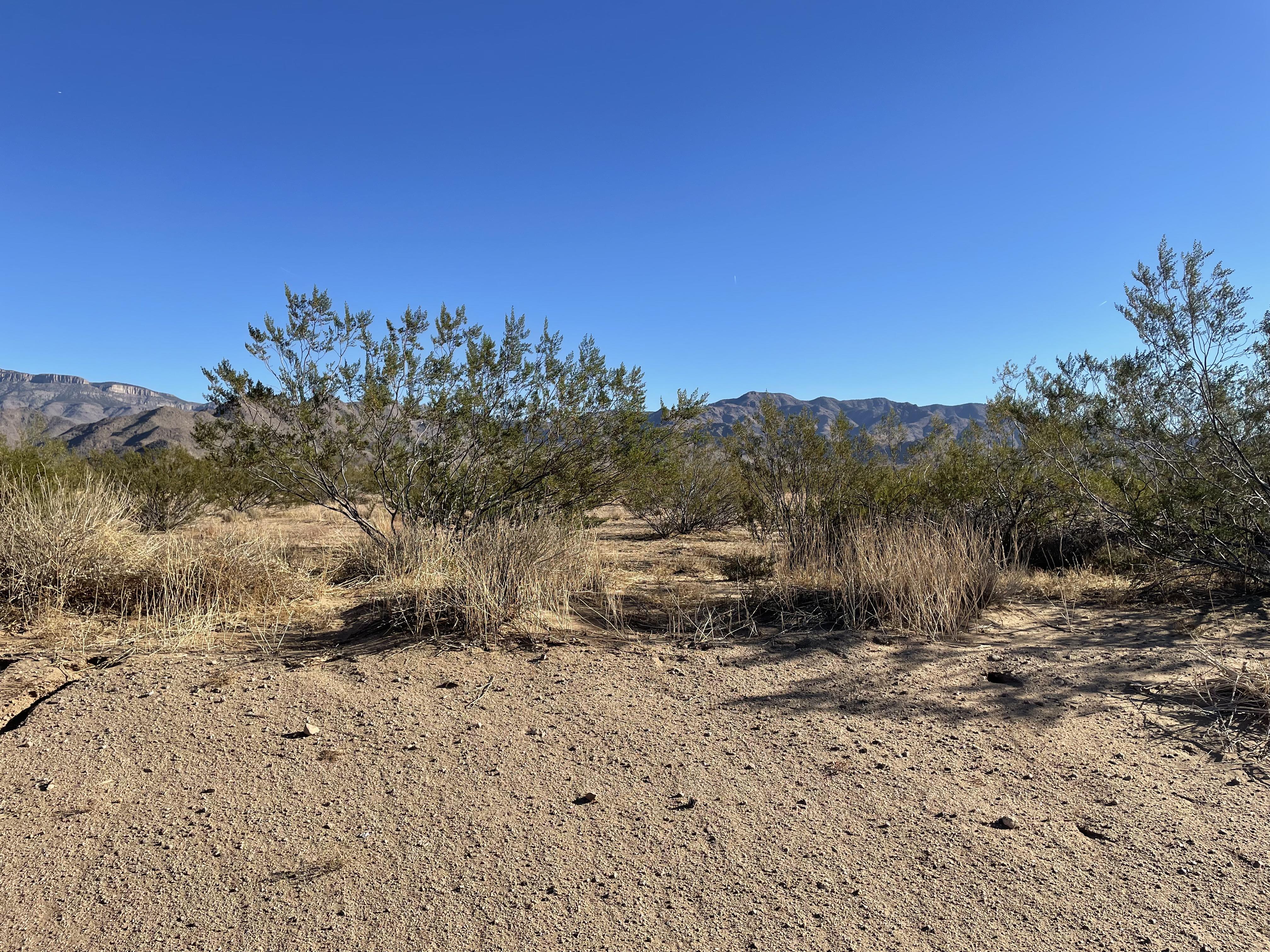 Two and a Half Acres of Serenity in Northwestern Arizona - Image 4