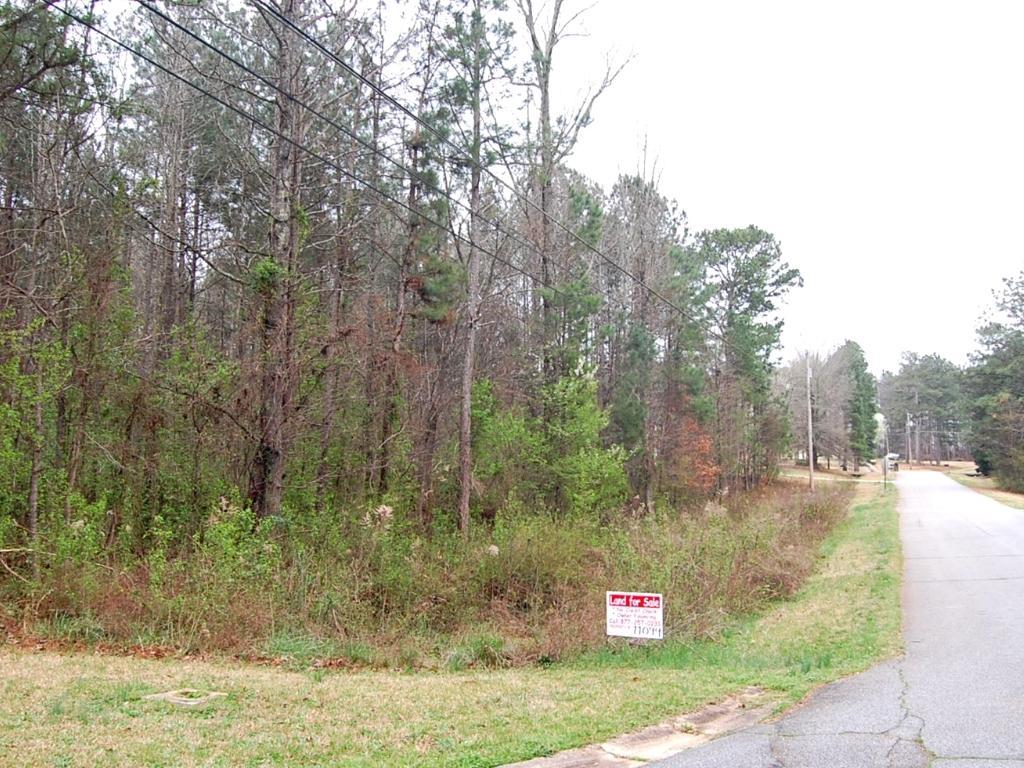 Nearly an acre 30 minutes from Atlanta - Image 3