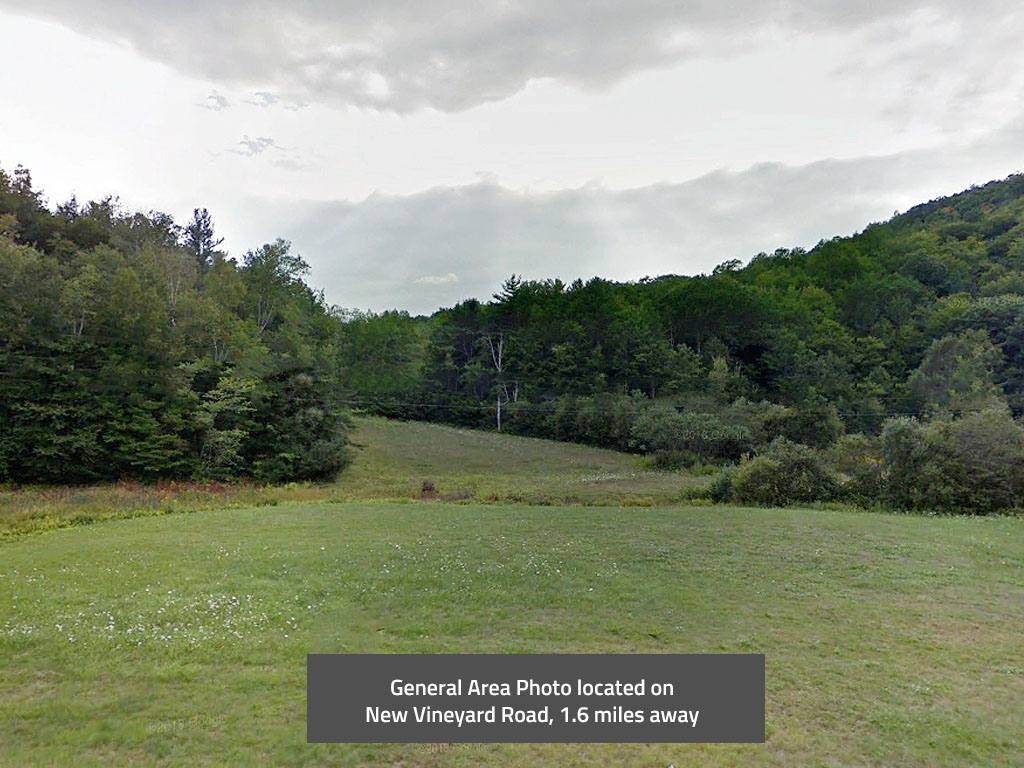 Seventeen Acre Paradise in New Vineyard LandCentral