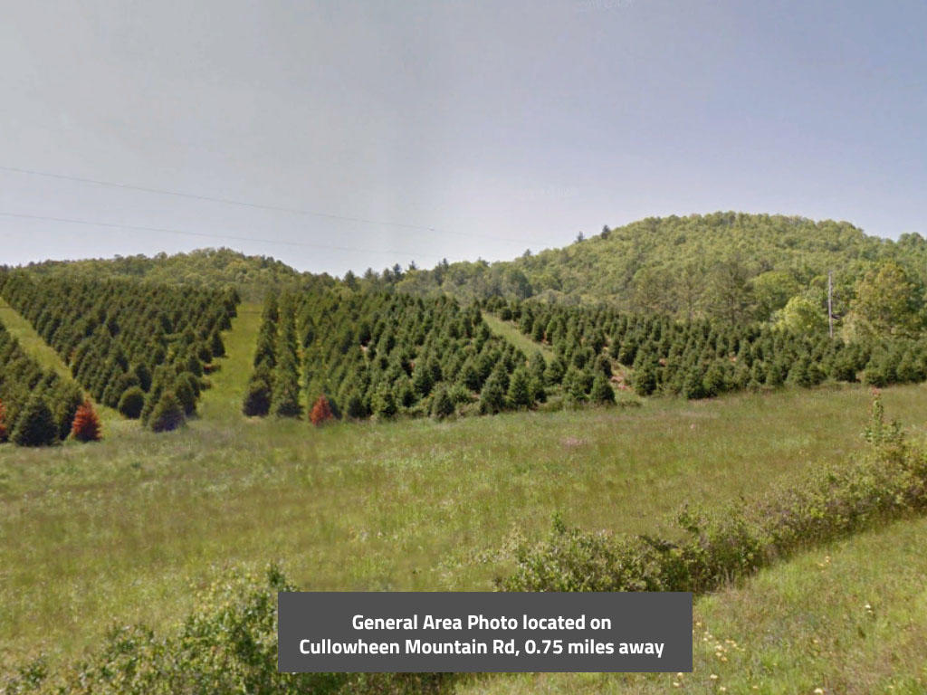 Almost an acre and a half in the Great Smoky Mountains - Image 3
