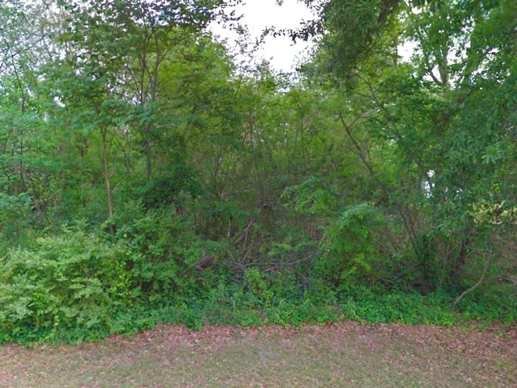 Almost 7000 square foot lot in an established neighborhood - Image 3