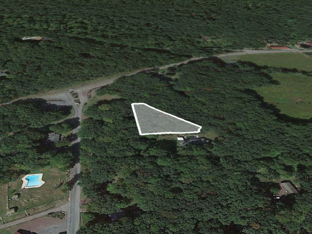 Wooded lot of over half an acre in the beautiful Pocono Mountains - Image 2