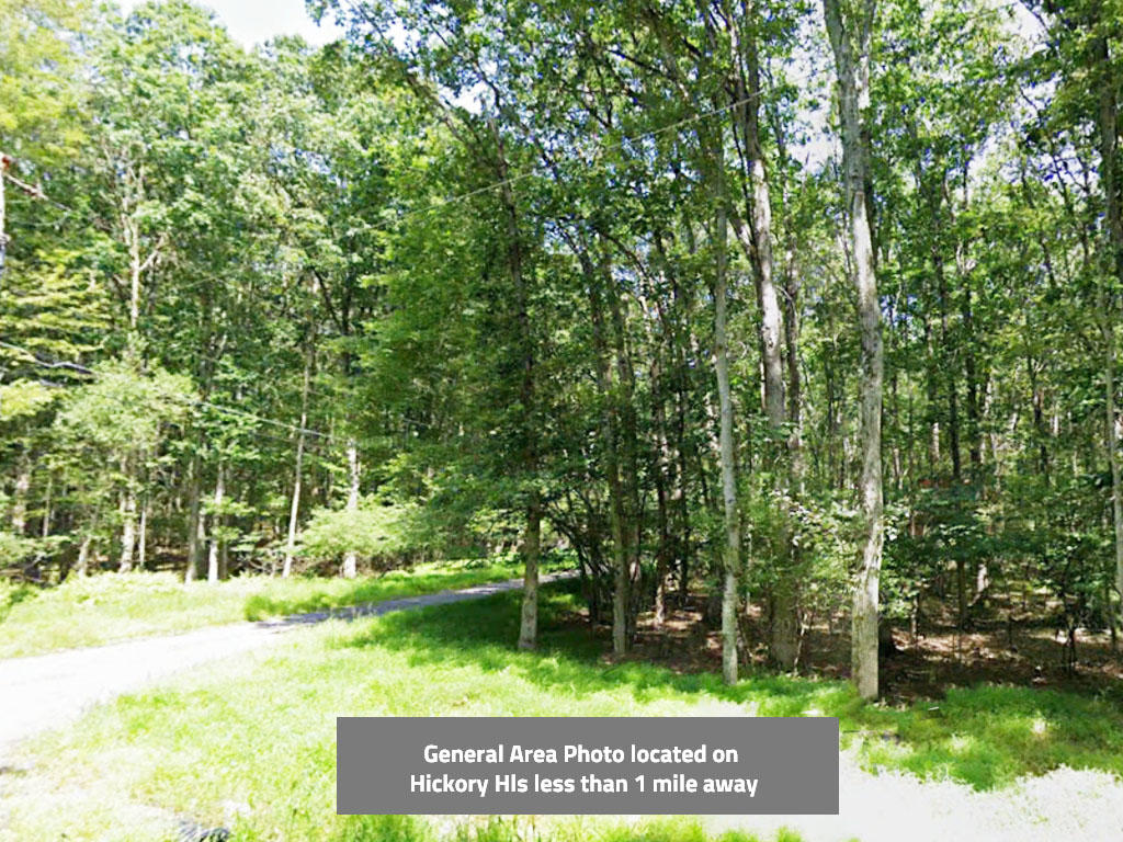 Wooded lot of over half an acre in the beautiful Pocono Mountains - Image 0