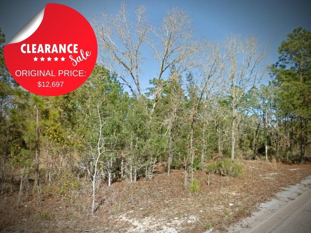 Sunny Florida Lot Just Over An Hour from Jacksonville LandCentral