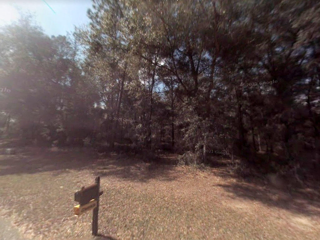 Almost a quarter acre in sunny Florida - Image 3