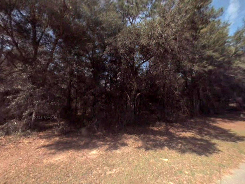 Almost a quarter acre in sunny Florida - Image 0