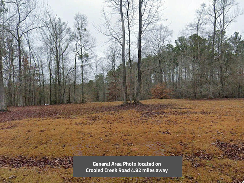 Fertile Half Acre Near Charming Southern Town - Image 3