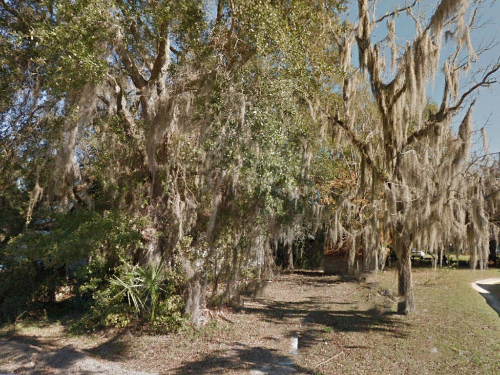 Great lot in one of the “best little towns in Florida” - Image 3