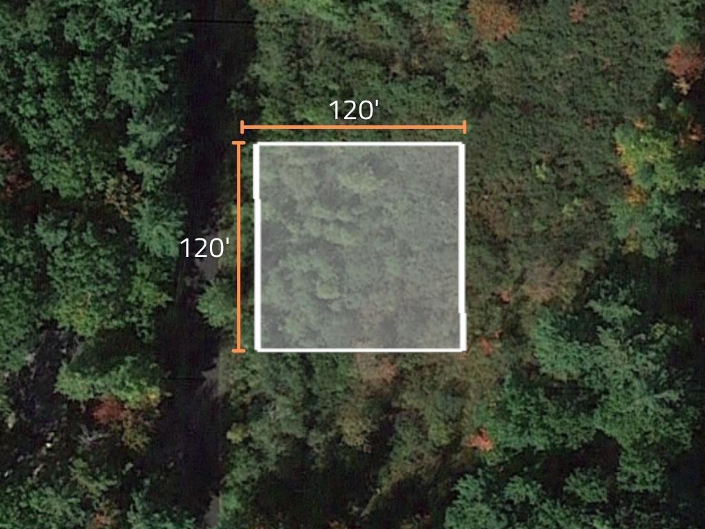 Beautiful lot close to a lake in the heart of the Michigan mitten - Image 1