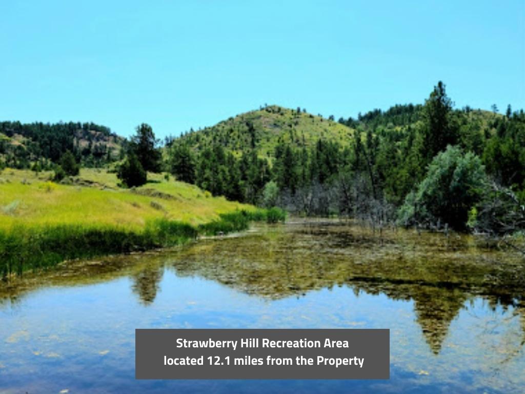 Amazing 40 Acres of Beautiful Montana Land - Image 5