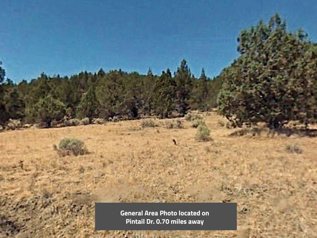 Two acre California property close to lakes and national forests - Image 3