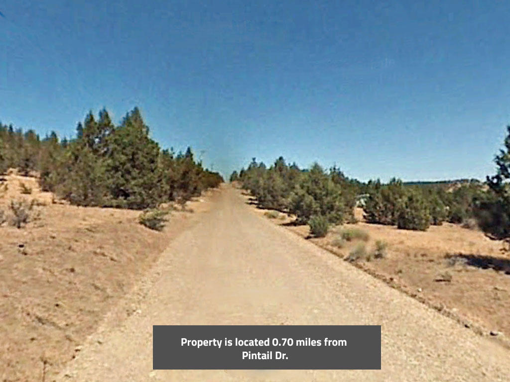 Two acre California property close to lakes and national forests - Image 4