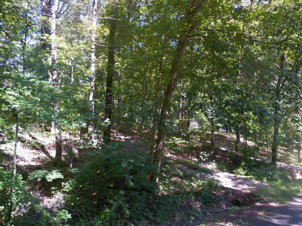 Over half an acre in a beautiful small town community - Image 0