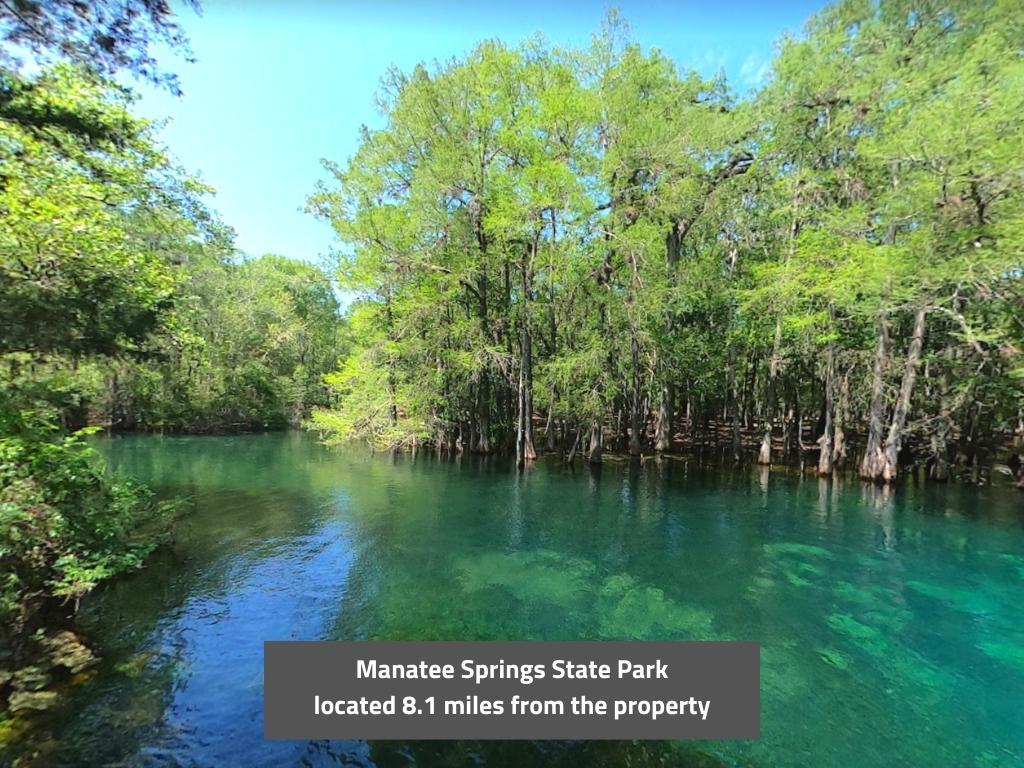 Beautiful lot in a well-kept, well-established neighborhood - Image 6