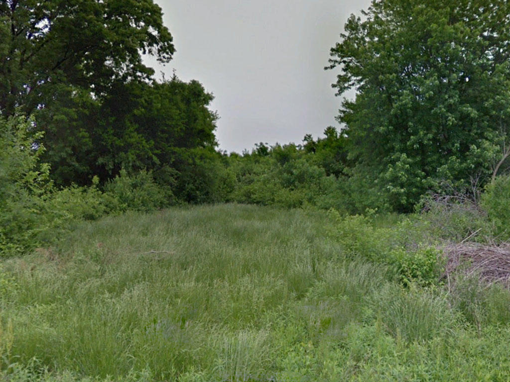 Almost half an acre backing a creek on the outskirts of St. Louis - Image 3