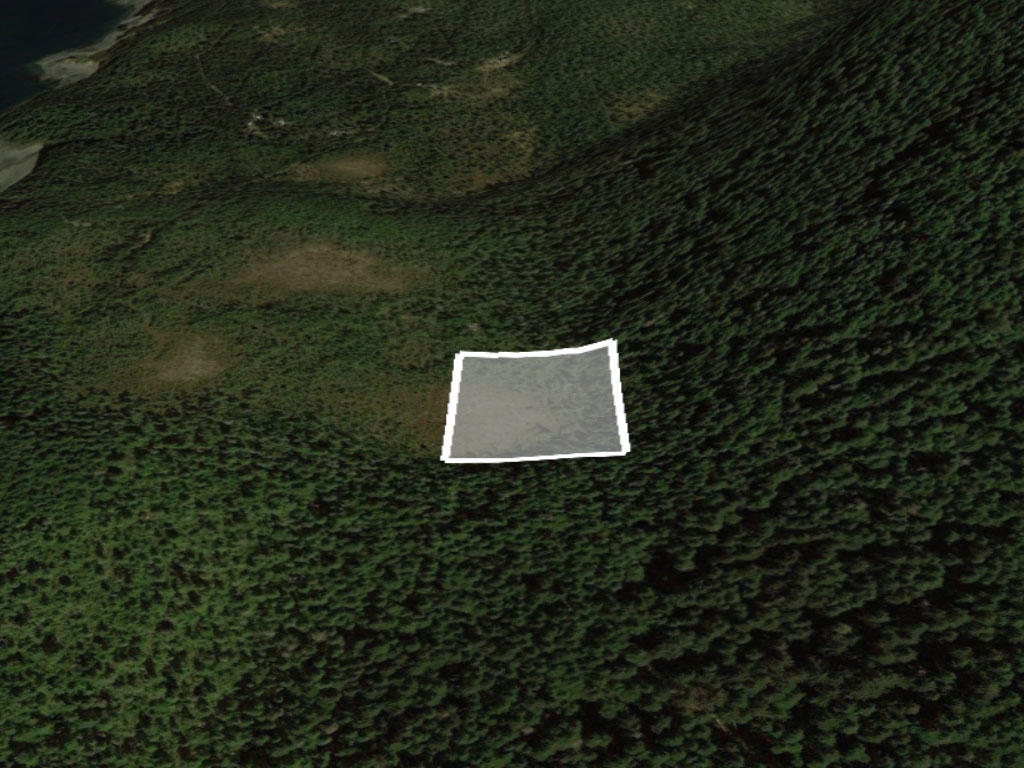 Almost 4 acres in the most southern part of Alaska - Image 2