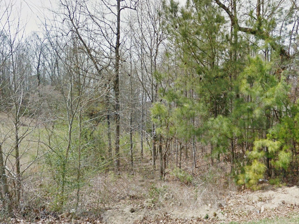 Large Lot Near Coosa River LandCentral