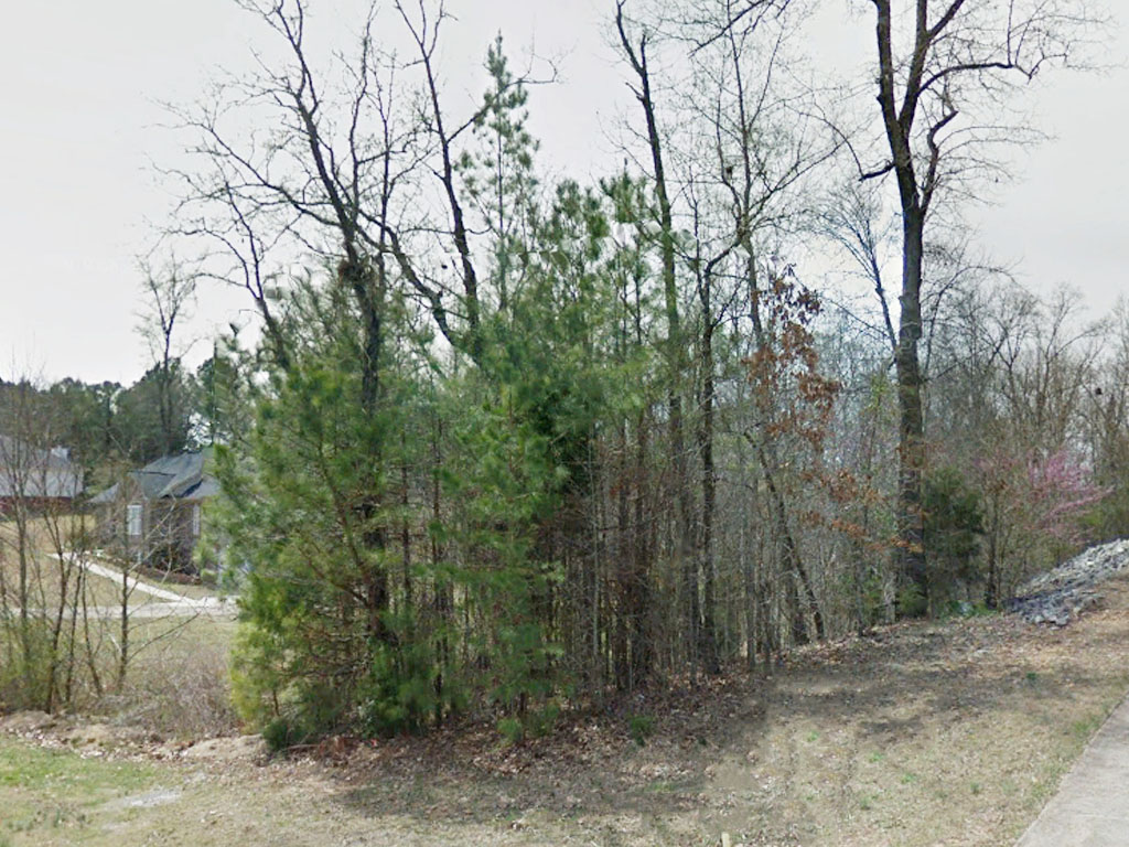 Large Lot Near Coosa River LandCentral