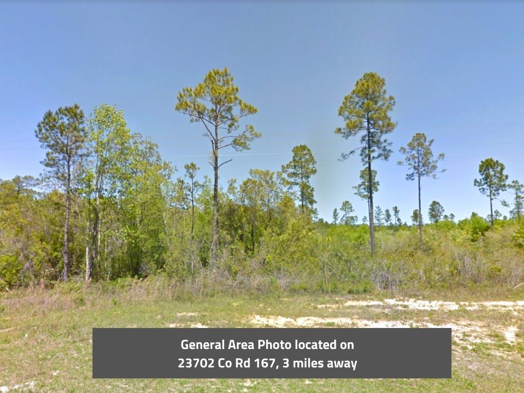 Beautiful property less than an hour from Panama City Beach - Image 0