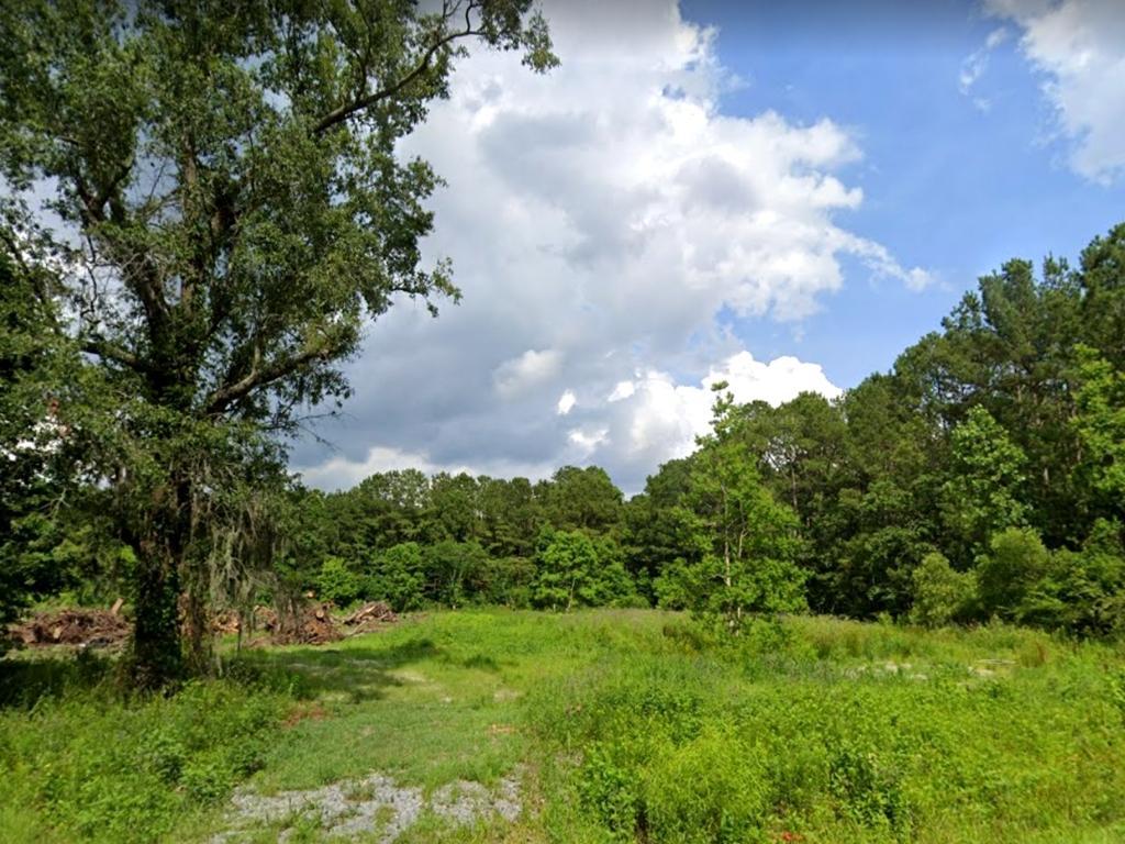 Attractive Acreage Well Placed for Many Uses LandCentral