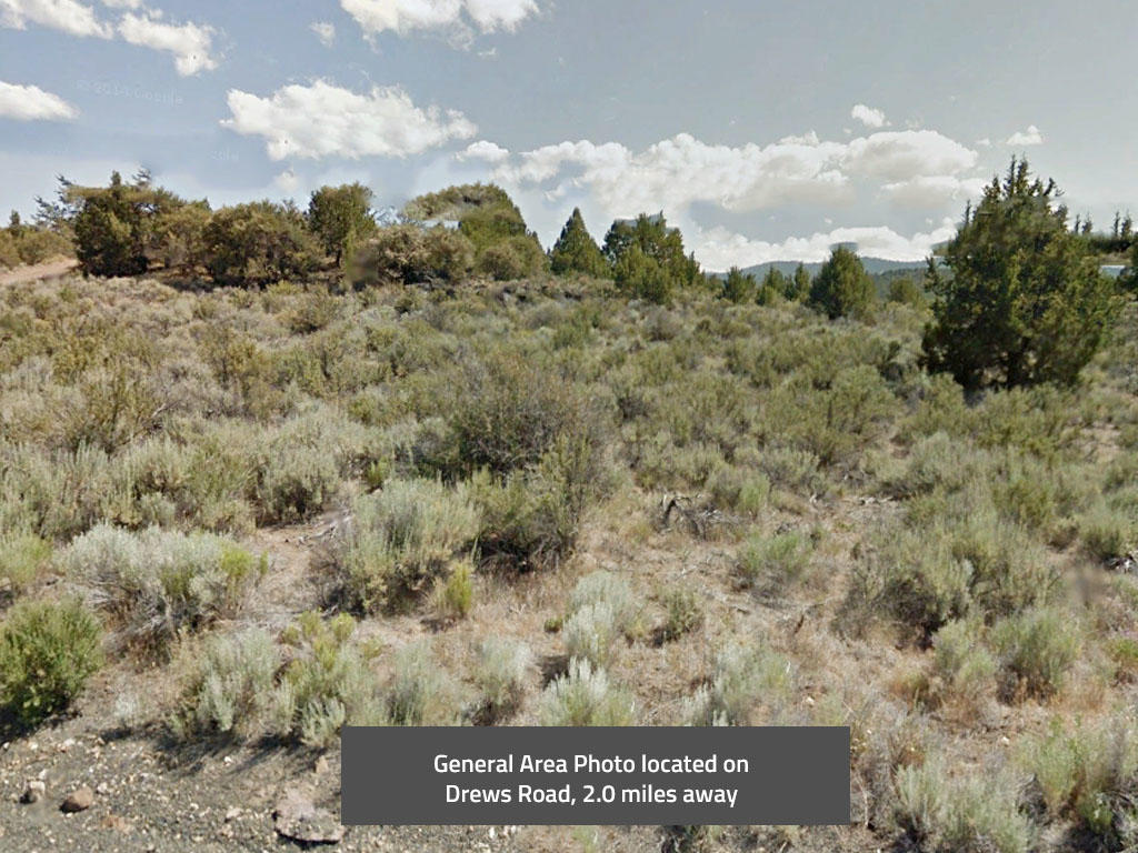 Sprawling 2 Acres in Southern Oregon - Image 3